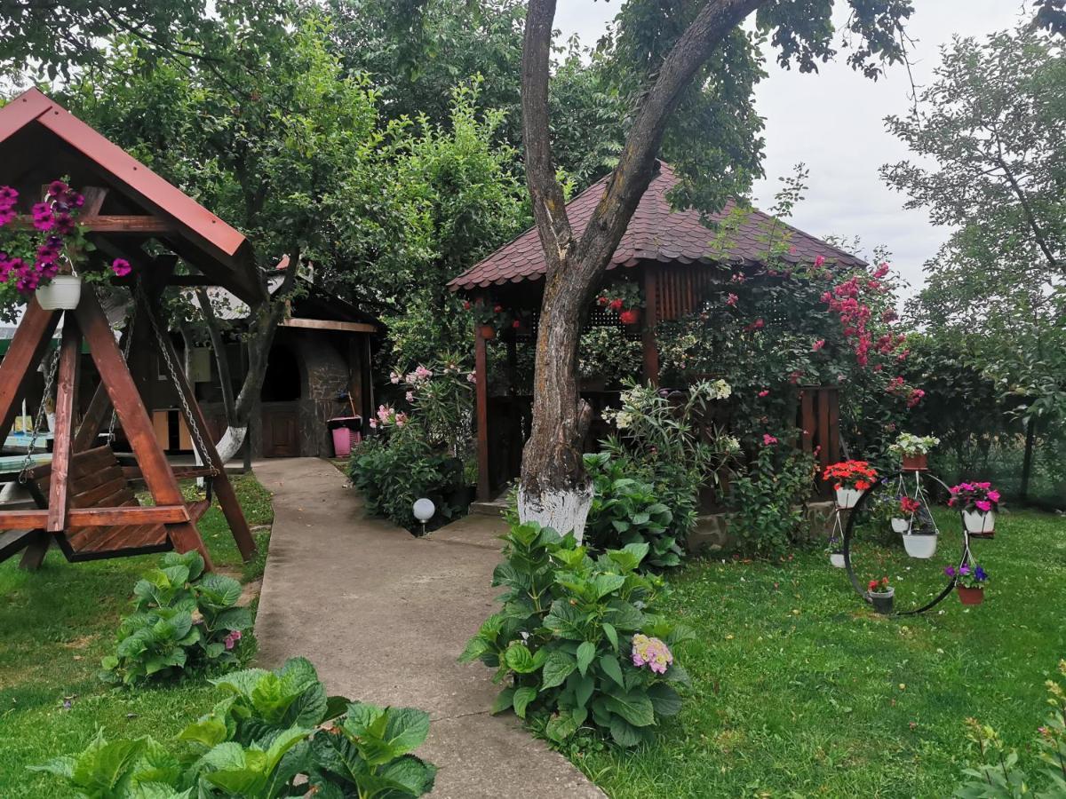 Rîu de Mori Casa Lidia酒店 外观 照片