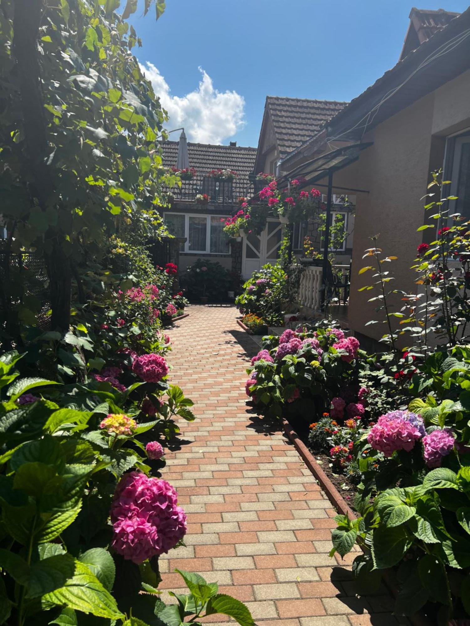 Rîu de Mori Casa Lidia酒店 外观 照片